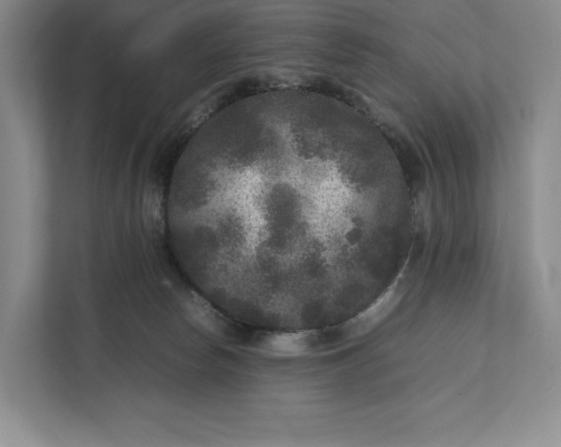 X0000111810178200908061122