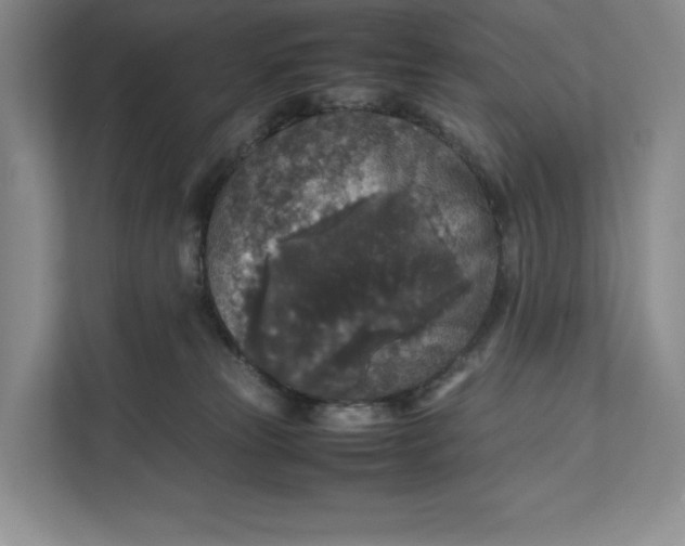 X0000111810181200908061122