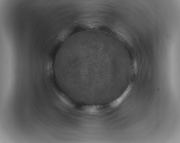 X0000111810182200908061122