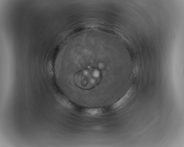 X0000111810187200908061123