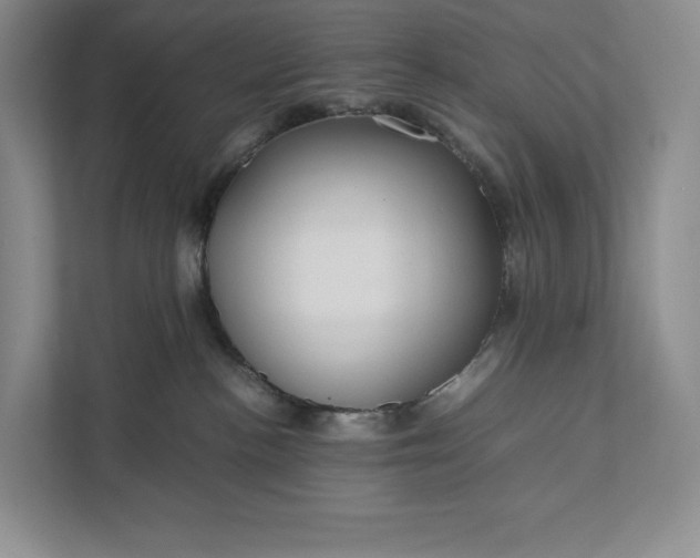 X0000111810188200908061123