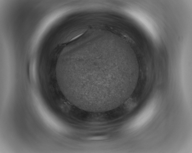 X0000111810189200908061123