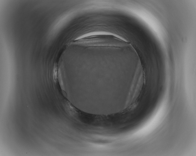 X0000111810190200908061123