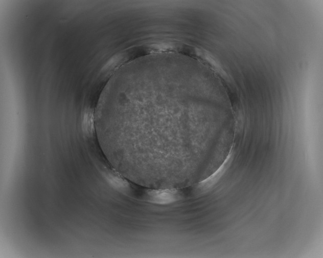 X0000111810191200908061123