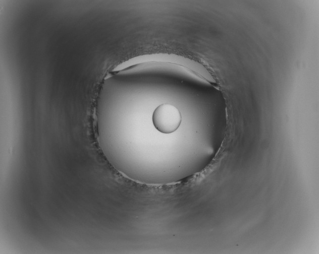 X0000111810192200908061123