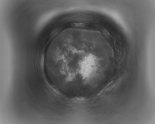 X0000111810194200908061122