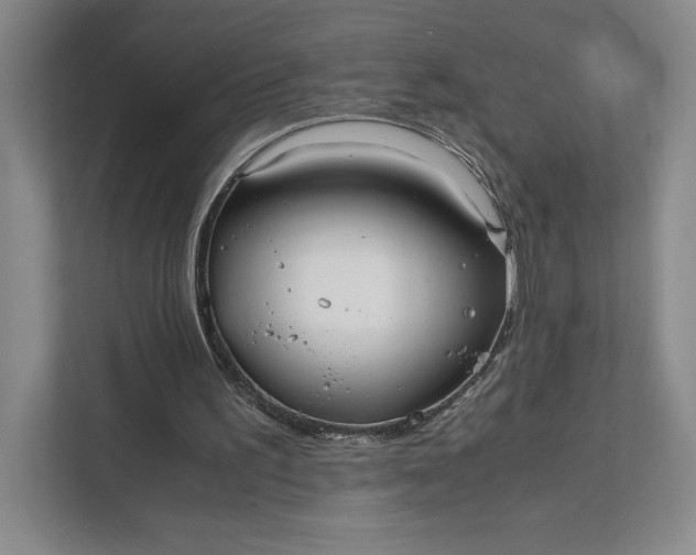 X0000111810195200908061122