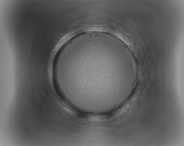 X0000111810199200908061122