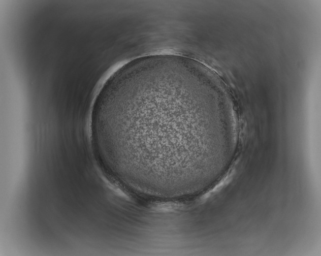 X0000111810200200908061122