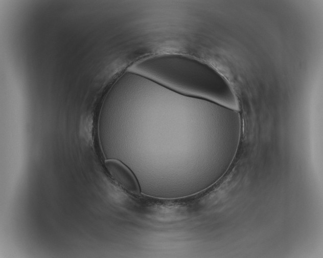 X0000111810201200908061122