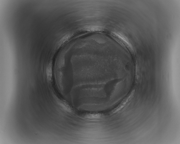 X0000111810202200908061122