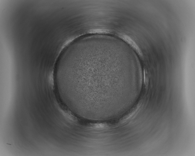X0000111810204200908061122