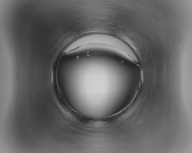 X0000111810205200908061122