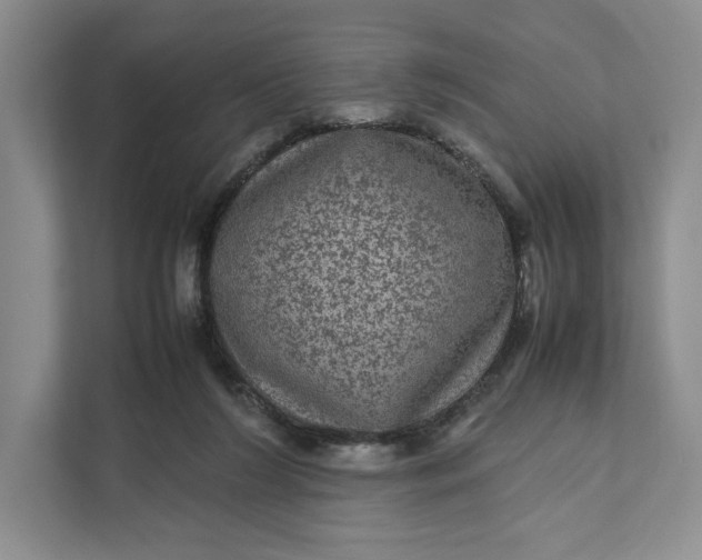 X0000111810212200908061122