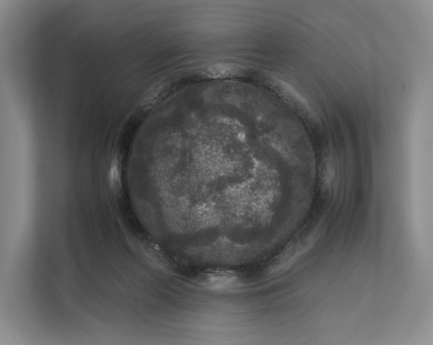 X0000111810214200908061122