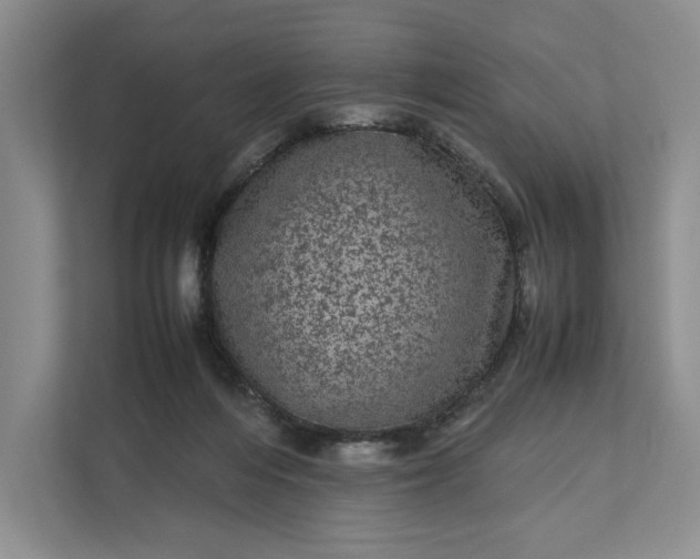 X0000111810216200908061122