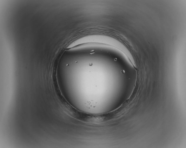 X0000111810217200908061122