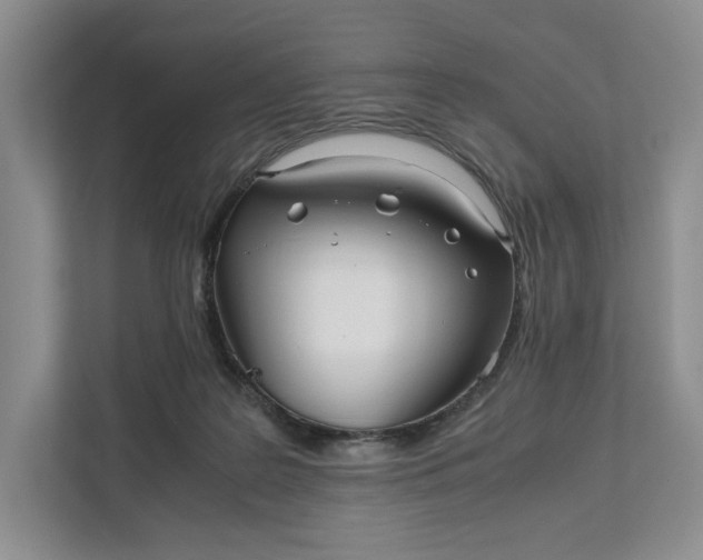 X0000111810219200908061122