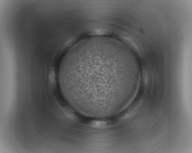 X0000111810220200908061122