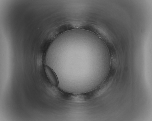 X0000111810221200908061122