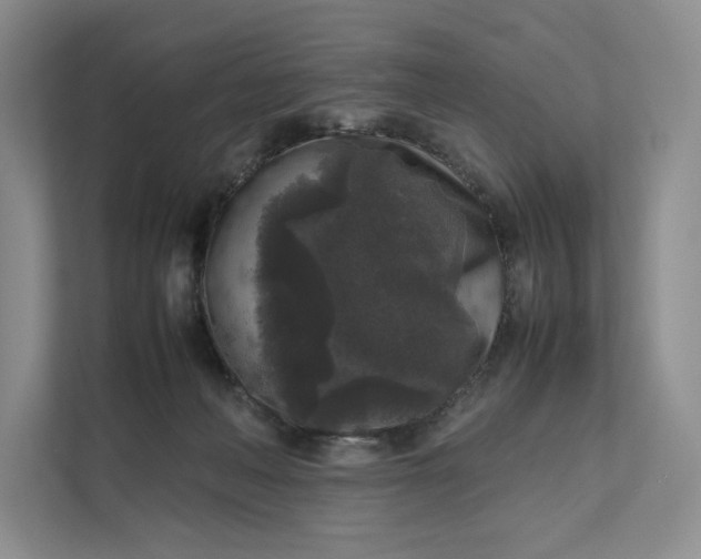X0000111810222200908061122