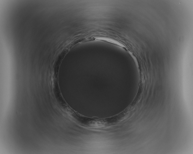 X0000111810223200908061122