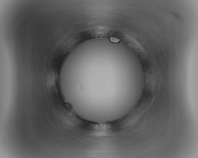 X0000111810225200908061122