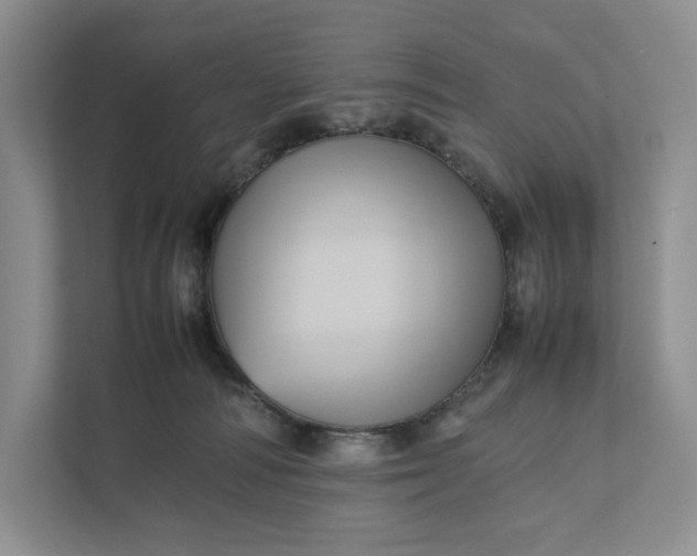 X0000111810226200908061122
