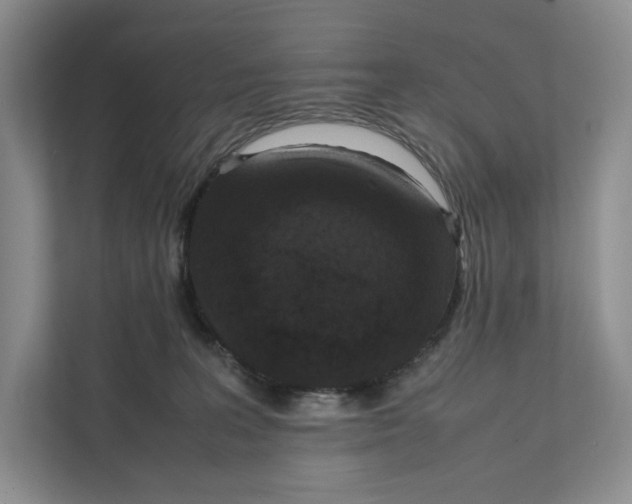 X0000111810227200908061122