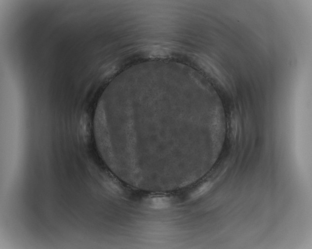 X0000111810228200908061122