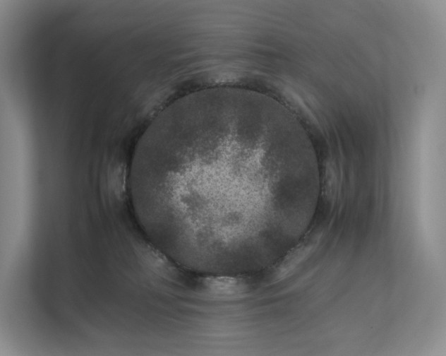 X0000111810230200908061121