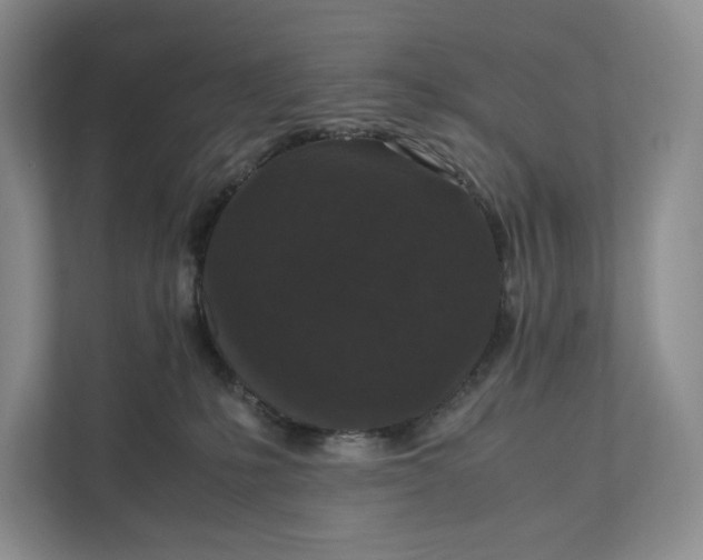 X0000111810231200908061121