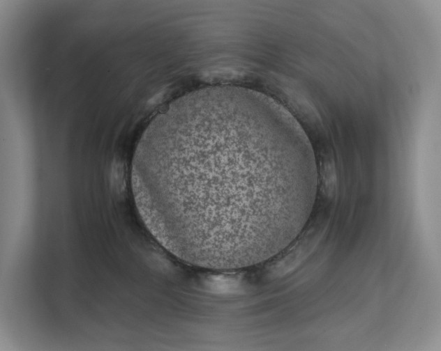 X0000111810232200908061121
