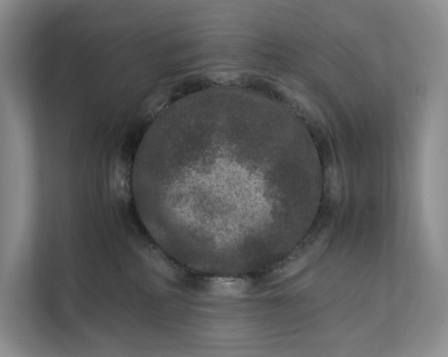X0000111810234200908061121