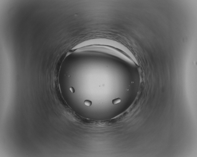 X0000111810235200908061121
