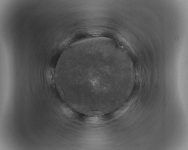 X0000111810237200908061121