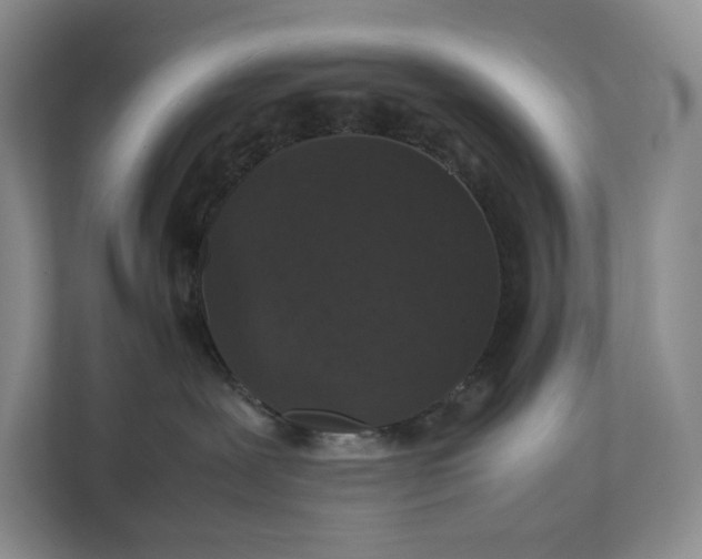 X0000111810239200908061121