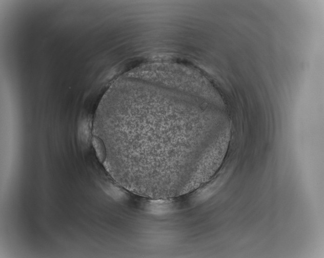 X0000111810240200908061121
