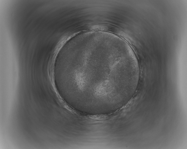 X0000111810241200908061121