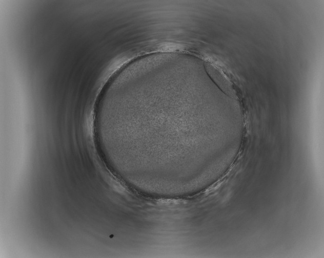 X0000111810242200908061121