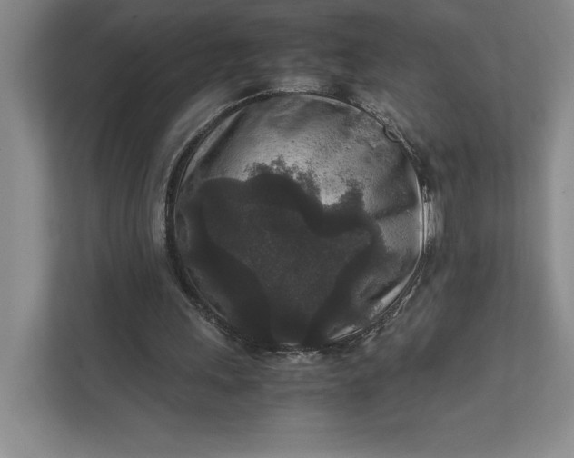 X0000111810243200908061121