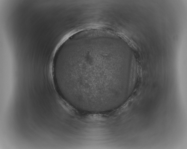 X0000111810244200908061121