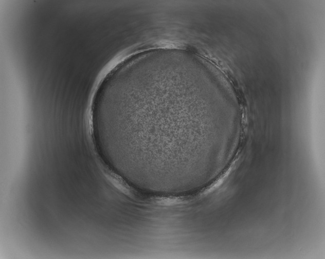 X0000111810246200908061121