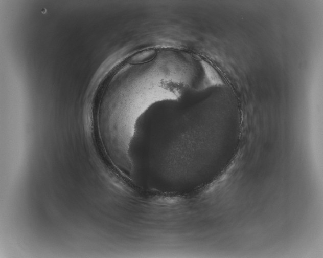 X0000111810247200908061121