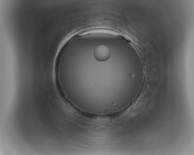 X0000111810248200908061121