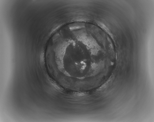 X0000111810249200908061121