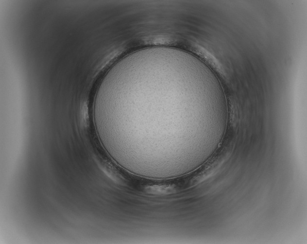 X0000111810251200908061121