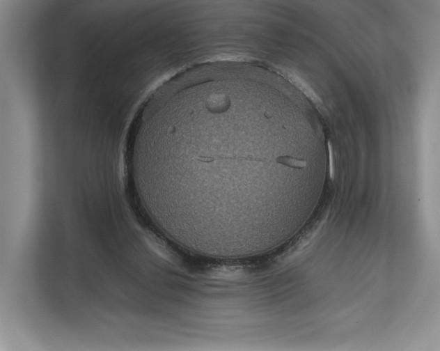 X0000111810252200908061121