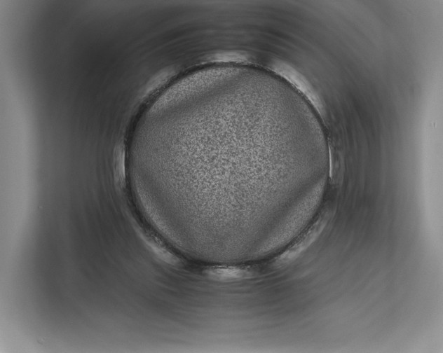 X0000111810253200908061121