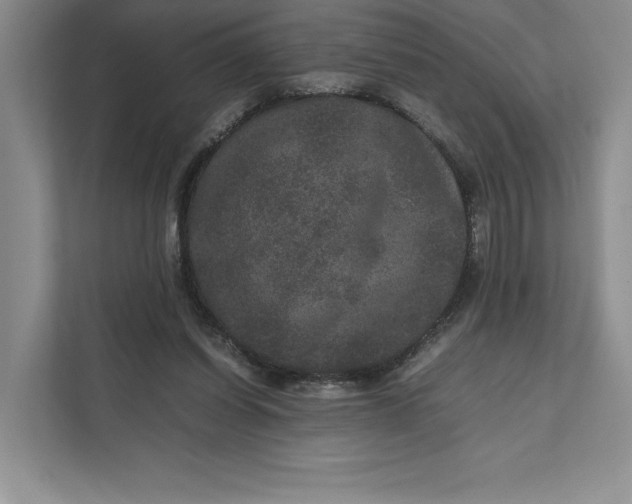 X0000111810254200908061121